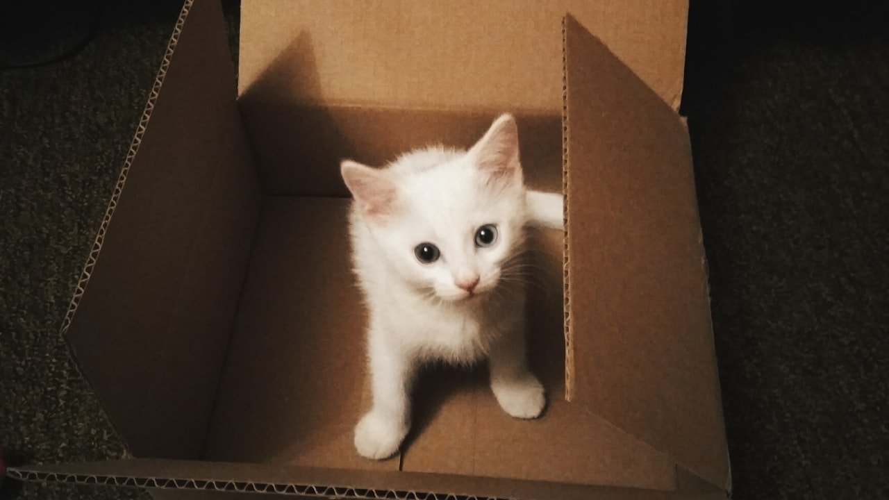 Tips on Using Macaron Box to Store Macarons