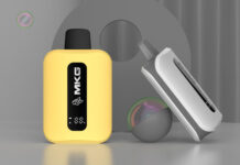 A Beginner’s Guide to Choosing the Right Digital Display Vape