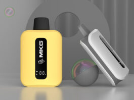 A Beginner’s Guide to Choosing the Right Digital Display Vape