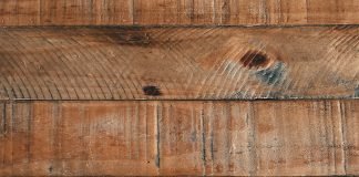 Development History of Wood Pellet Mill