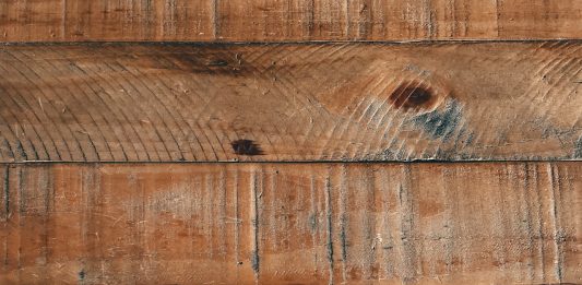 Development History of Wood Pellet Mill