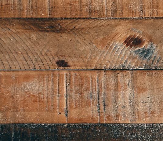 Development History of Wood Pellet Mill