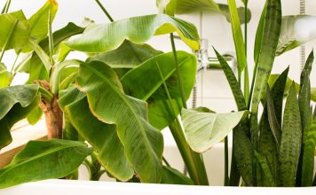 How to maintain your frameless shower screen